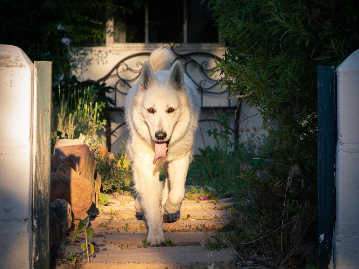 Villa Alpha Excelsior Guest Farm Clanwilliam Esterno foto