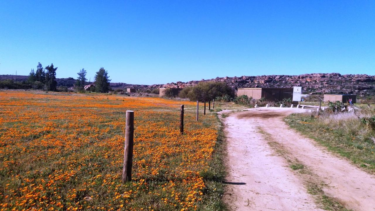 Villa Alpha Excelsior Guest Farm Clanwilliam Esterno foto