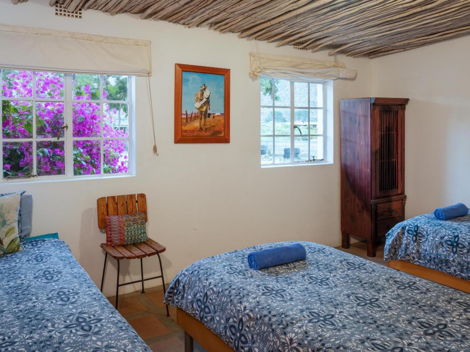 Villa Alpha Excelsior Guest Farm Clanwilliam Camera foto