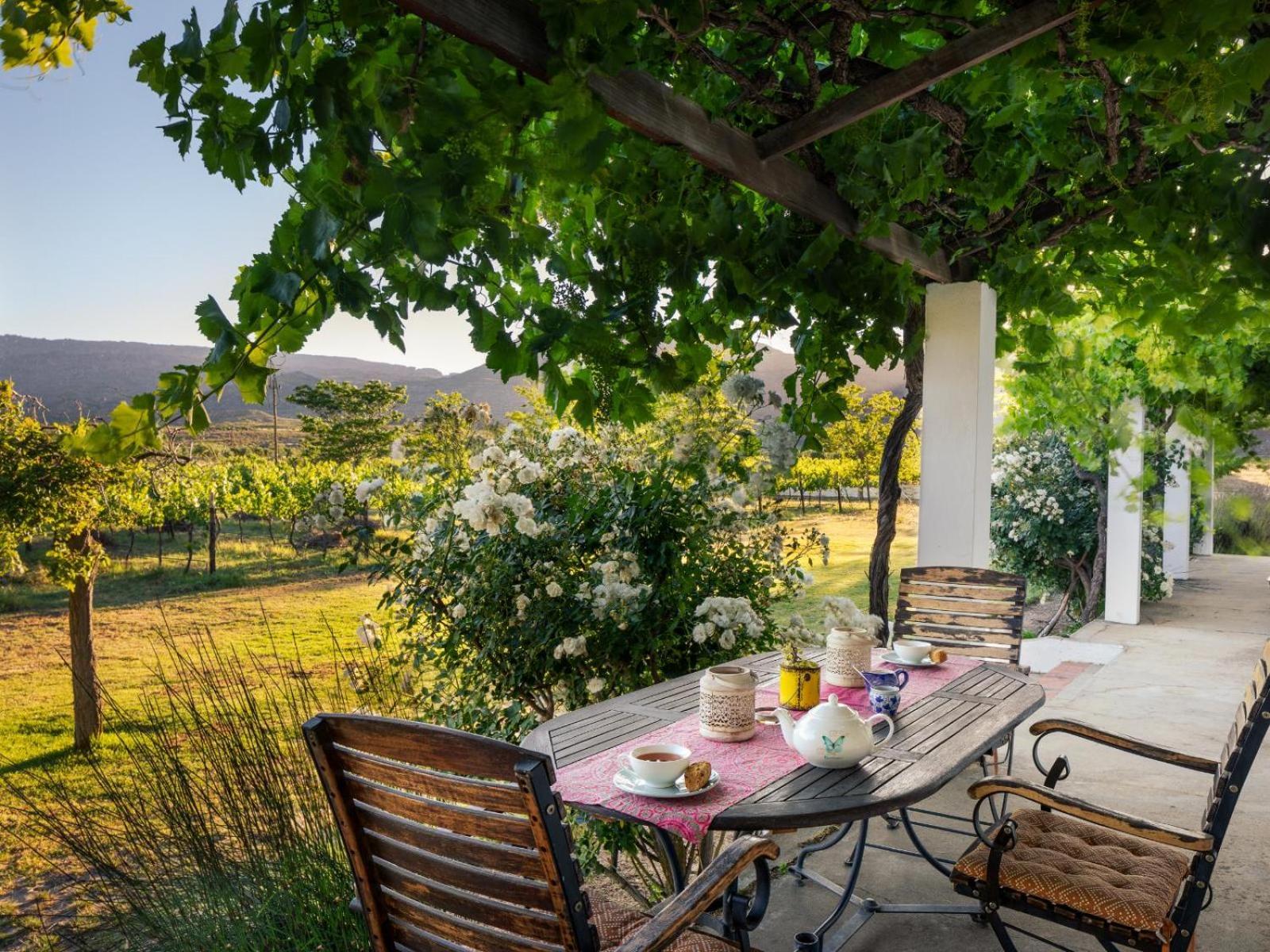 Villa Alpha Excelsior Guest Farm Clanwilliam Camera foto